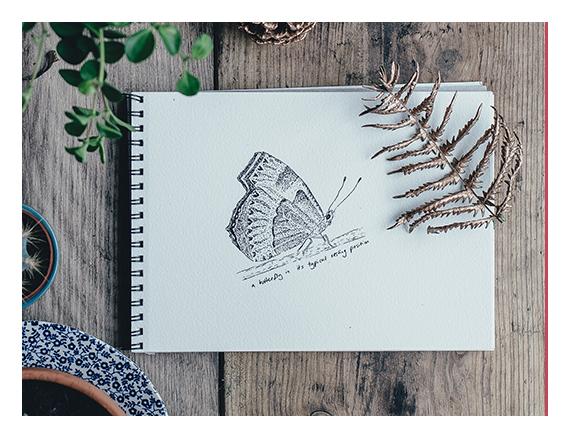 Image Title My Image